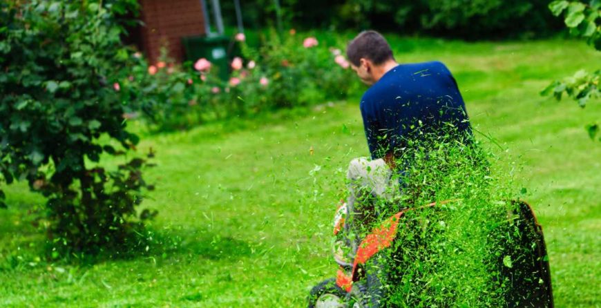 GreenEdge promotes composting as a sustainable substitute for synthetic chemicals in Sarasota, Osprey, and Bradenton. Our eco-friendly approach utilizes nutrient-rich compost to nourish your soil, support plant health, and minimize environmental impact. Trust us for organic solutions that enhance your landscape while reducing reliance on synthetic chemicals.