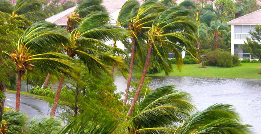 GreenEdge helps you plan your landscape with storms in mind in Sarasota, Osprey, and Bradenton. Our expert team considers storm-resistant plant choices, drainage solutions, and structural considerations to ensure your landscape can withstand and recover from severe weather. Trust us for resilient and beautiful outdoor spaces.