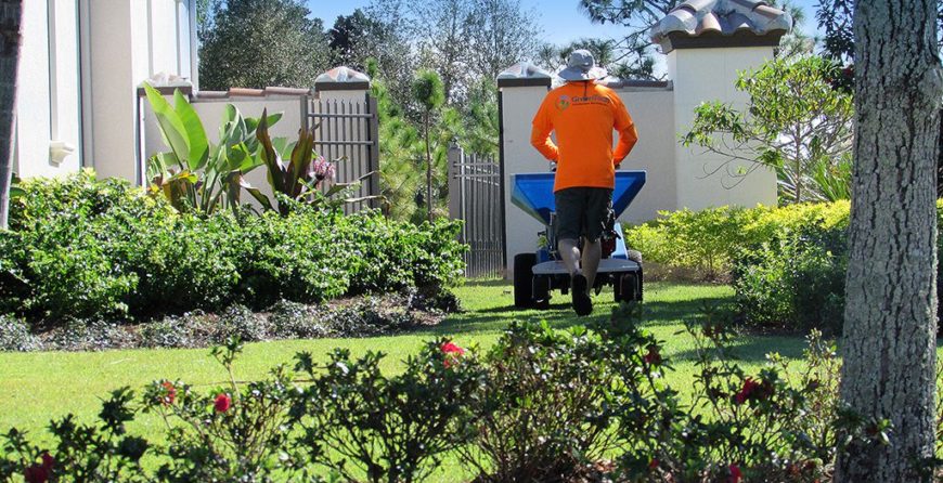 Dedicated GreenEdge professional maintaining the pristine lawn in Sarasota, ensuring a picture-perfect landscape