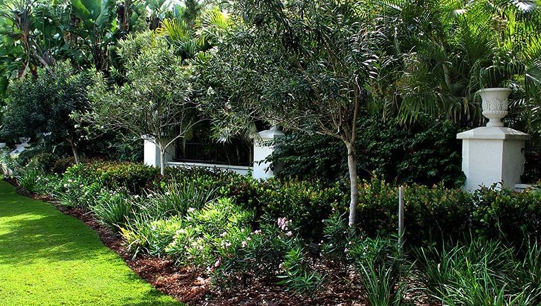 Lush Lawn and Vibrant Plant Beds in Osprey, FL - Professional Lawn Care and Landscaping Services