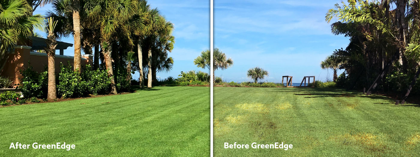 Striking before and after transformation of a lawn, showcasing the remarkable impact of GreenEdge's expert care and dedication in rejuvenating the Sarasota landscape.