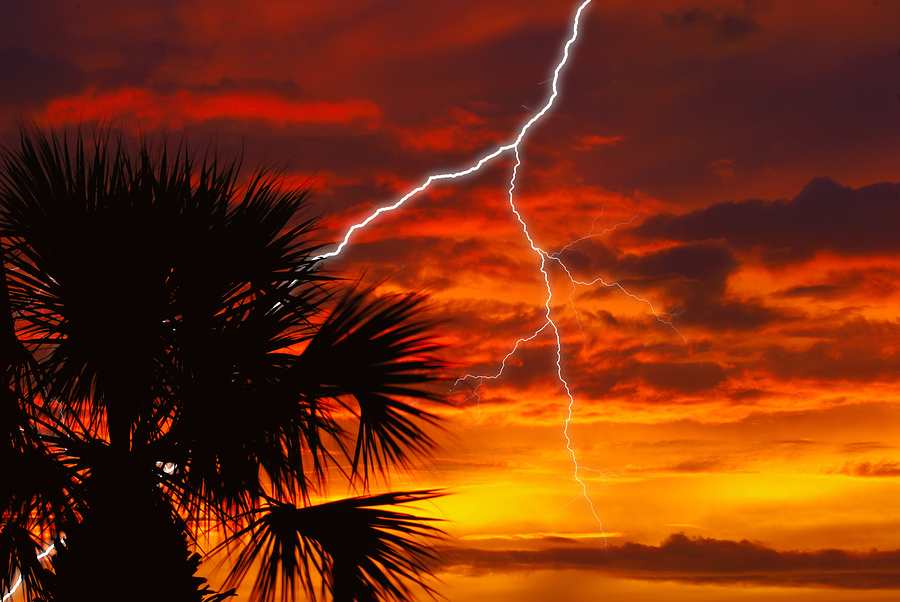 A beautiful fire red sunset storm in Florida with palm tree