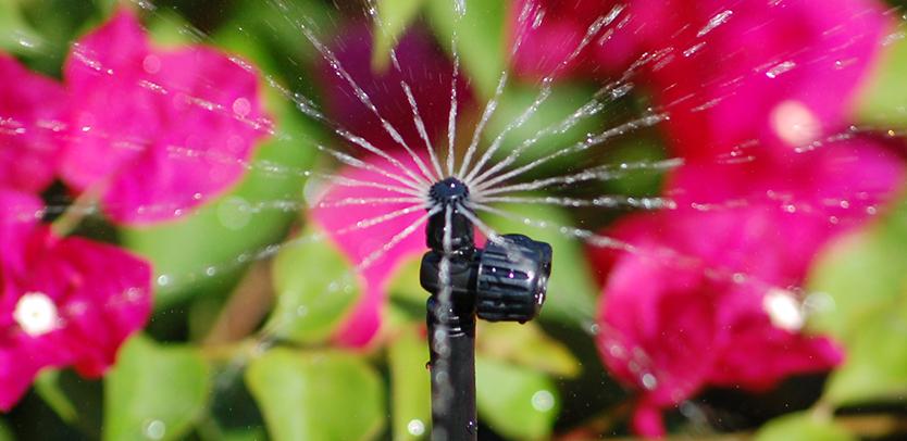 GreenEdge provides efficient micro-spray irrigation systems in Sarasota, Osprey, and Bradenton. Experience precise and water-efficient irrigation for your plants and landscapes with our expert solutions.