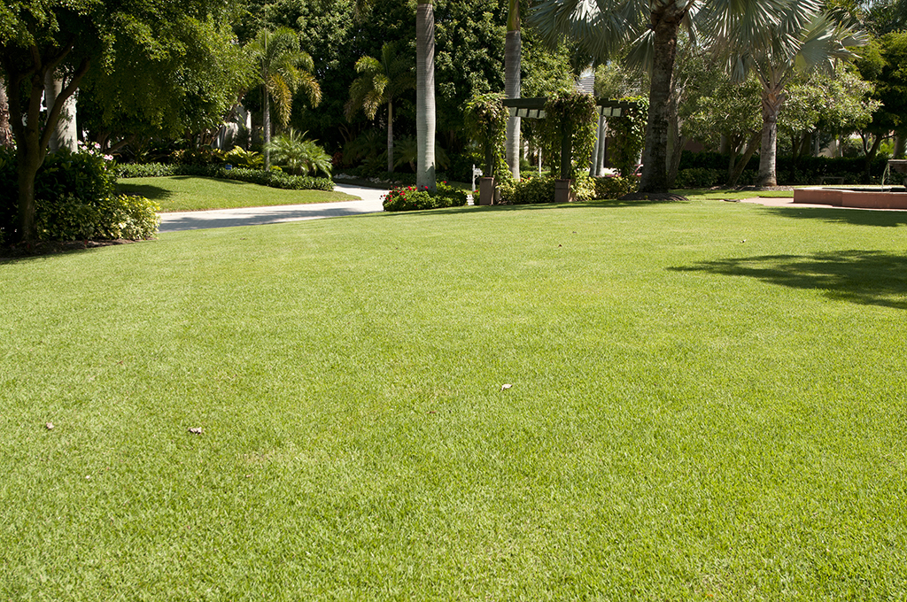 GreenEdge excels in comprehensive turf and lawn care services in Sarasota, Osprey, and Bradenton. Our expert team delivers tailored solutions for lush and healthy lawns, including pest control, disease management, turf nutrition, and more. Trust us to transform your outdoor space and provide the highest quality care for your turf and lawn.