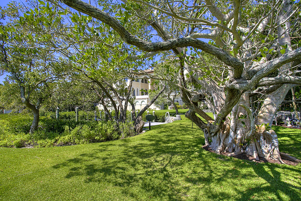 Beautiful Residential Landscape with Healthy Trees and Green Lawn in Bradenton, FL - Expert Tree Care and Lawn Maintenance