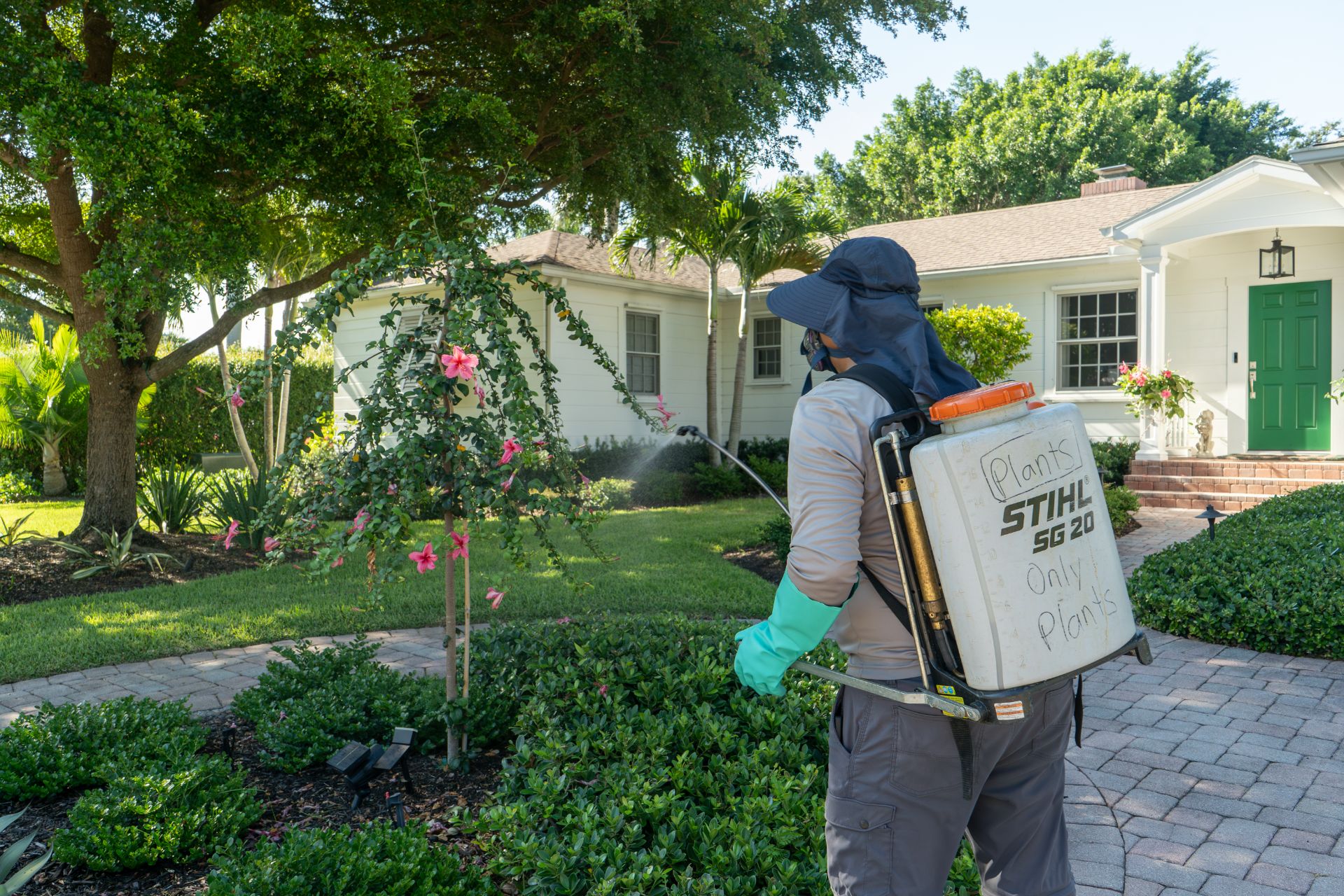 A GreenEdge staff member carefully spraying pesticide on flowers in Sarasota. Our trained professionals use precise techniques to target pests while safeguarding the health of the plants. Trust GreenEdge for responsible pesticide application that preserves the beauty and well-being of your flowers.