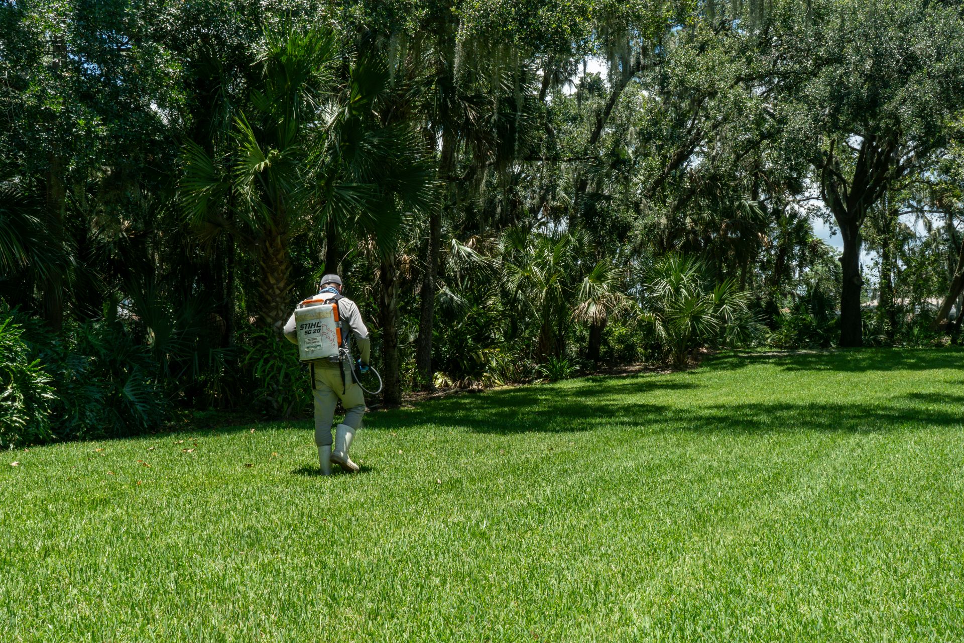 A GreenEdge staff member skillfully spraying a lawn in Sarasota. Our team uses effective techniques to control pests, weeds, or enhance the health of the grass. Trust GreenEdge for professional lawn spraying services that result in a lush and vibrant lawn.