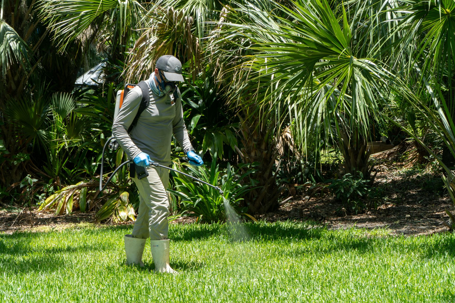 A GreenEdge staff member diligently spraying in the grass to control weeds in Sarasota. Our expert team utilizes effective herbicides and techniques to maintain a pristine and weed-free lawn. Trust GreenEdge for professional weed control services to enhance the beauty and health of your grass.