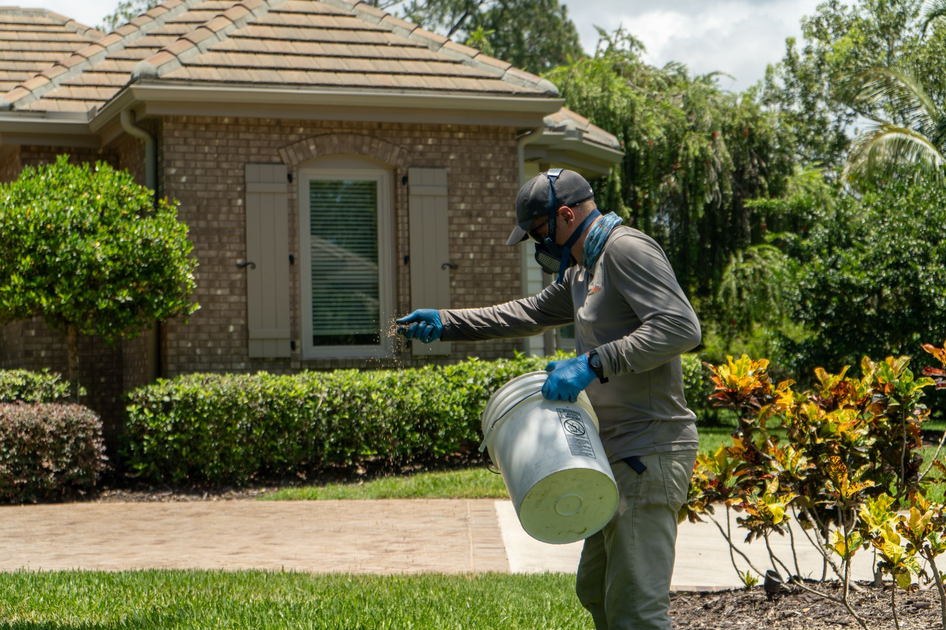 A GreenEdge staff member expertly showering fertilizer onto a lawn in Sarasota. Our professional team ensures even distribution of nutrients to nourish and revitalize the grass. Trust GreenEdge for precise fertilizer applications that promote a healthy and vibrant lawn.