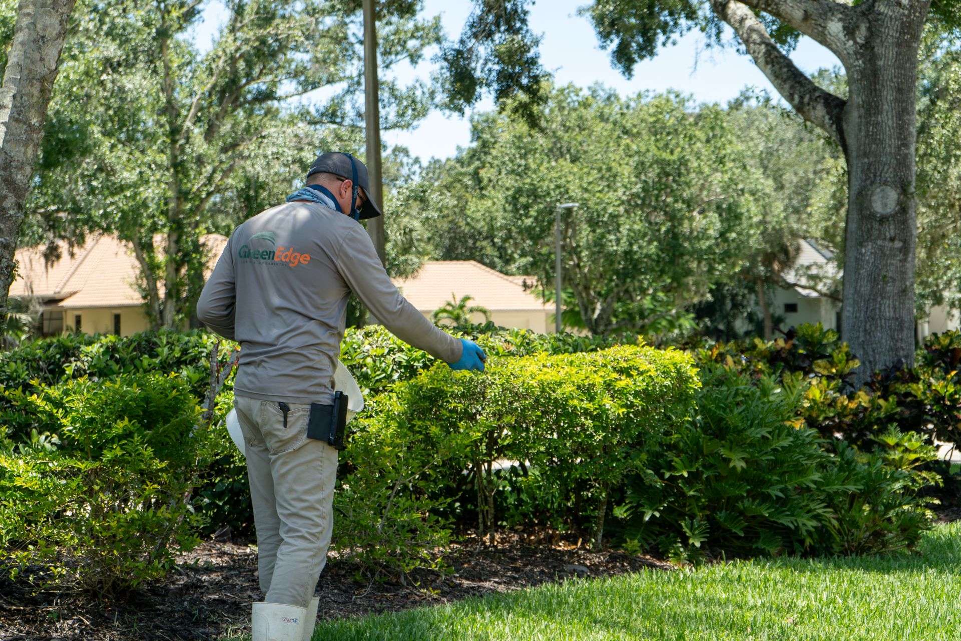 A GreenEdge staff member expertly showering fertilizer on a lawn in Sarasota. Our team ensures even and precise application of nutrients to promote lush and healthy grass growth. Trust GreenEdge for professional fertilizer treatments that nourish and beautify your lawn.