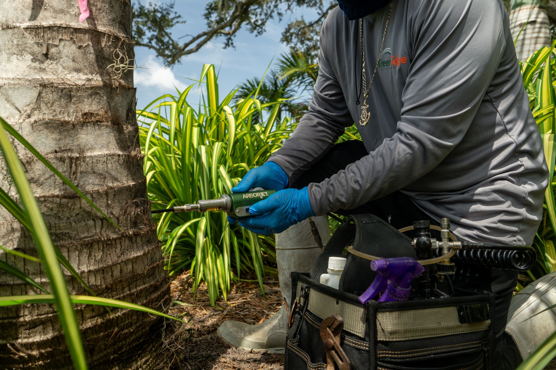 Arborjet injection being performed by a GreenEdge professional in Sarasota. Our skilled team administers targeted treatments to trees using the Arborjet system, promoting their health and protecting against pests or diseases. Trust GreenEdge for expert Arborjet injections and the well-being of your trees.