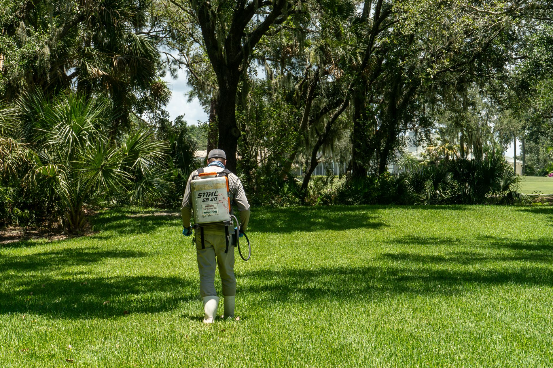 A GreenEdge staff member diligently spraying in the grass to control weeds in Sarasota. Our expert team utilizes effective herbicides and techniques to maintain a pristine and weed-free lawn. Trust GreenEdge for professional weed control services to enhance the beauty and health of your grass.
