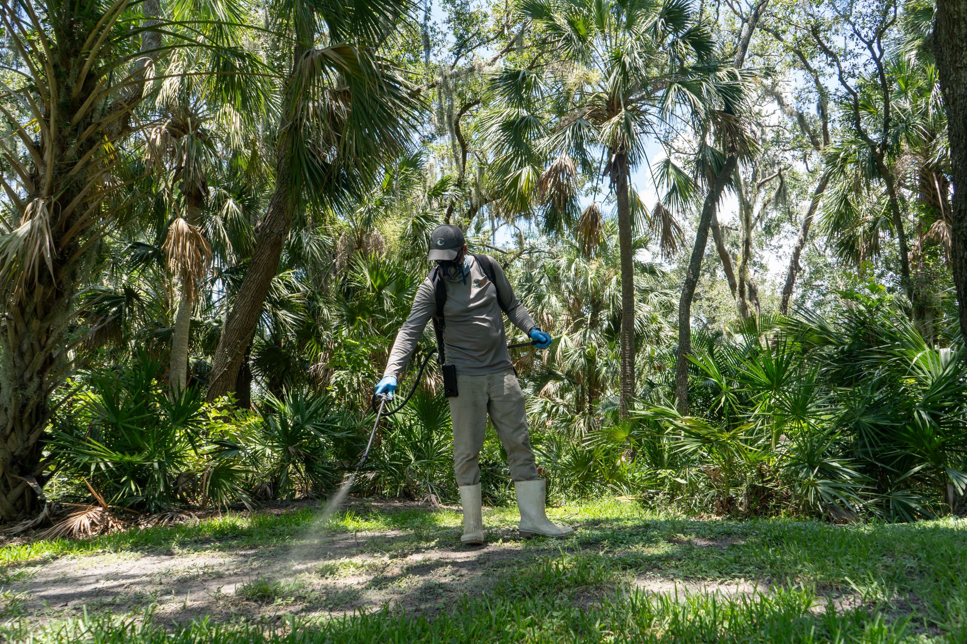 A GreenEdge staff member carefully spraying in the grass in Sarasota. Our trained professionals use precise techniques and high-quality products to control pests or enhance the health of your grass. Trust GreenEdge for expert grass spraying services that promote a lush and vibrant lawn.