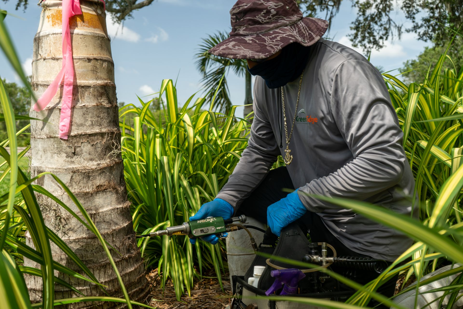 A skilled arborist injecting Arborjet into a tree, ensuring its health and vitality. GreenEdge's expert team in Sarasota uses this advanced technique to deliver targeted treatments for pest control or nutrient enhancement, promoting the well-being of your trees. Trust GreenEdge for professional Arborjet injections and exceptional tree care.